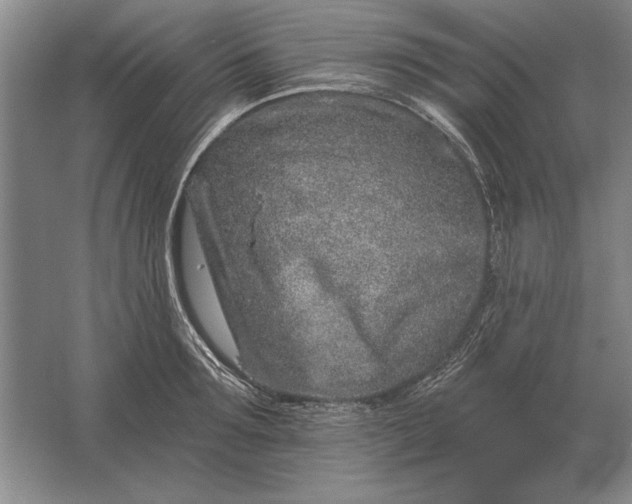 X0000061730899200512161619