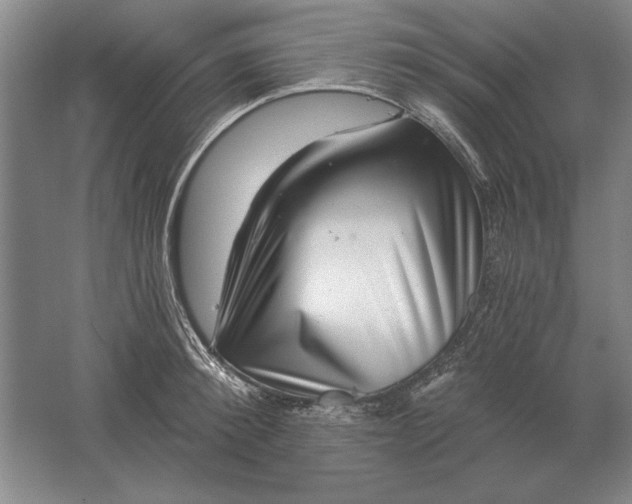 X0000061730900200512161619