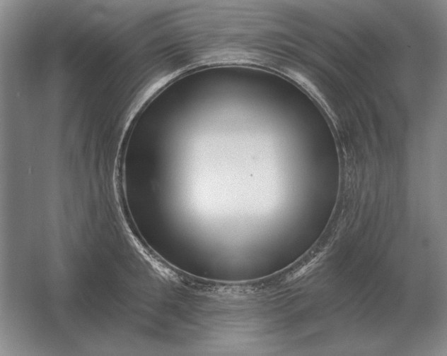 X0000061730901200512161619