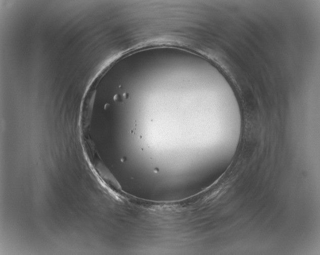 X0000061730902200512161619