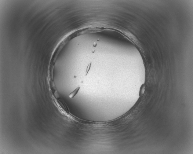 X0000061730904200512161619