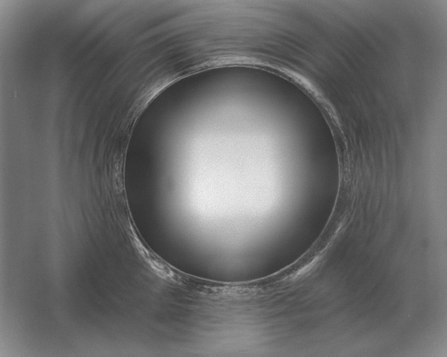 X0000061730905200512161619