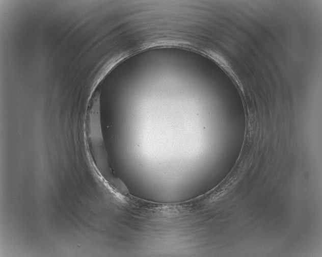 X0000061730906200512161619