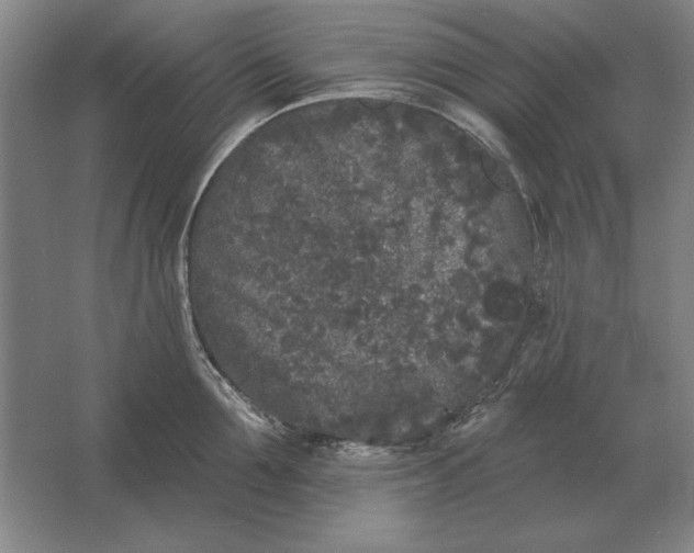 X0000061730907200512161619