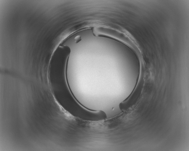 X0000061730909200512161619