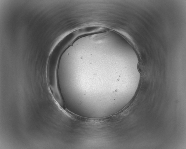 X0000061730910200512161619