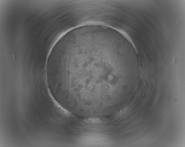 X0000061730911200512161619