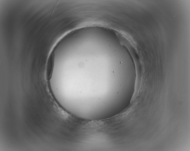 X0000061730912200512161619