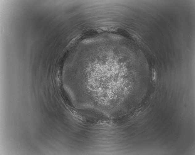 X0000061730915200512161618