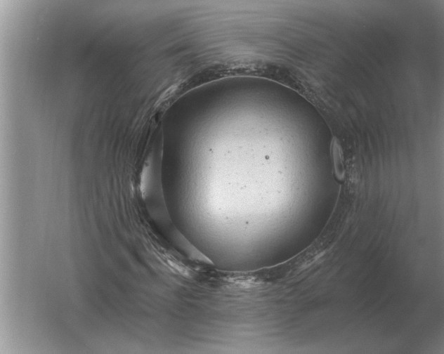 X0000061730916200512161618