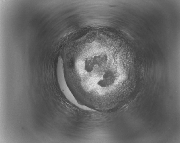 X0000061730917200512161618