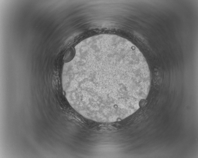 X0000061730918200512161618