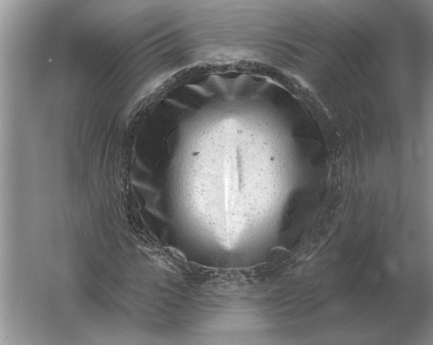 X0000061730919200512161618