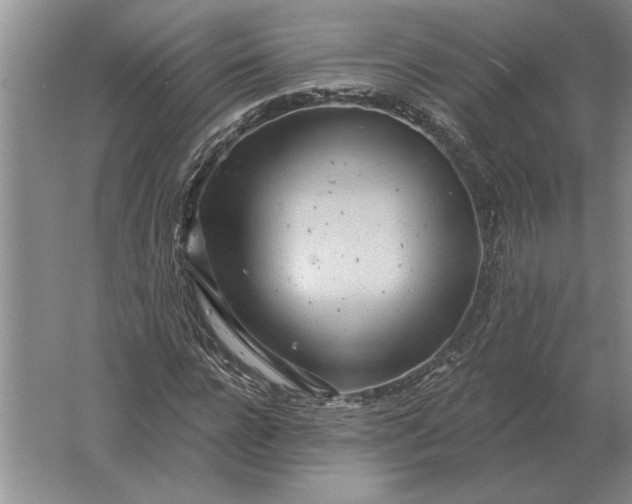 X0000061730920200512161618