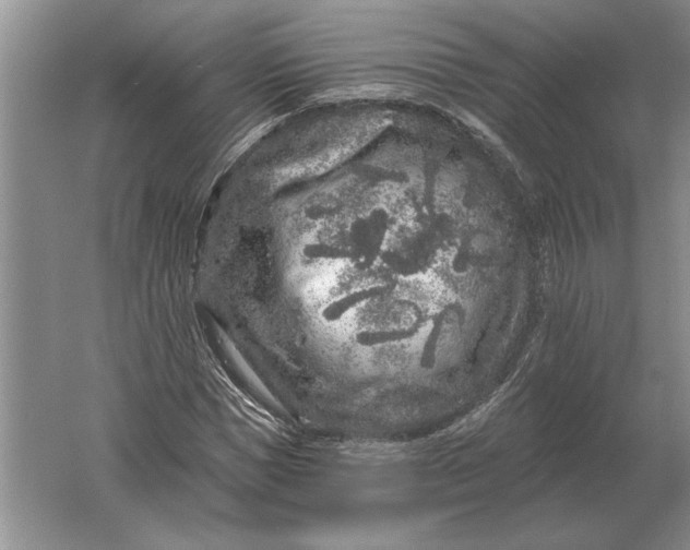 X0000061730921200512161618