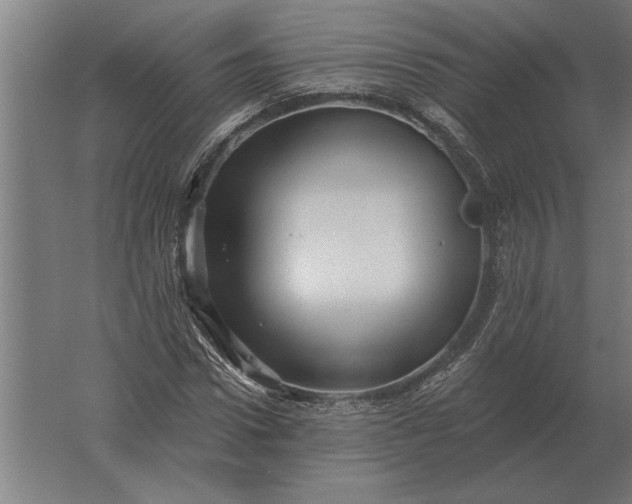 X0000061730922200512161618