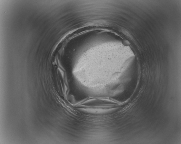 X0000061730923200512161618