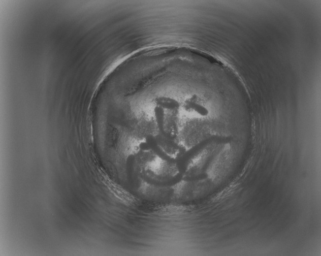 X0000061730925200512161618