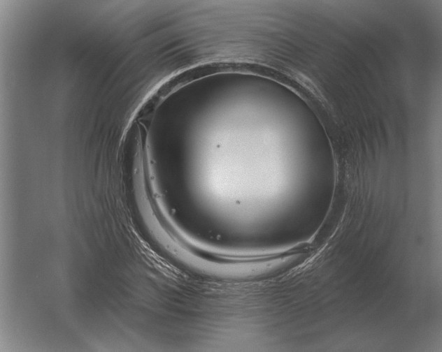 X0000061730926200512161618