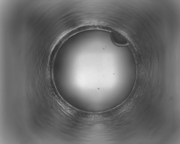 X0000061730927200512161618