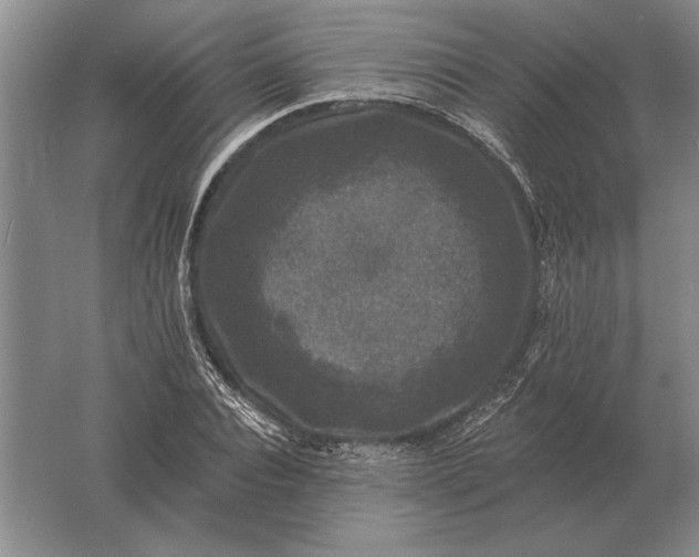 X0000061730928200512161618