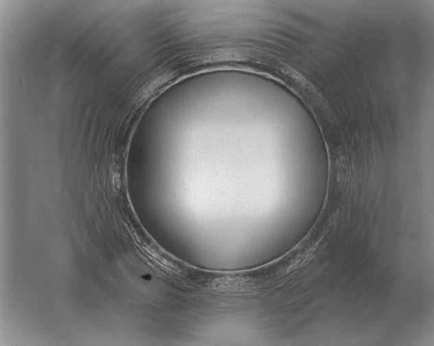 X0000061730929200512161618