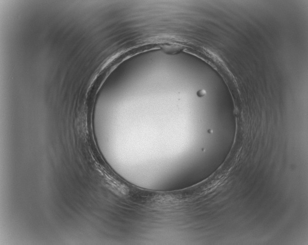 X0000061730931200512161618