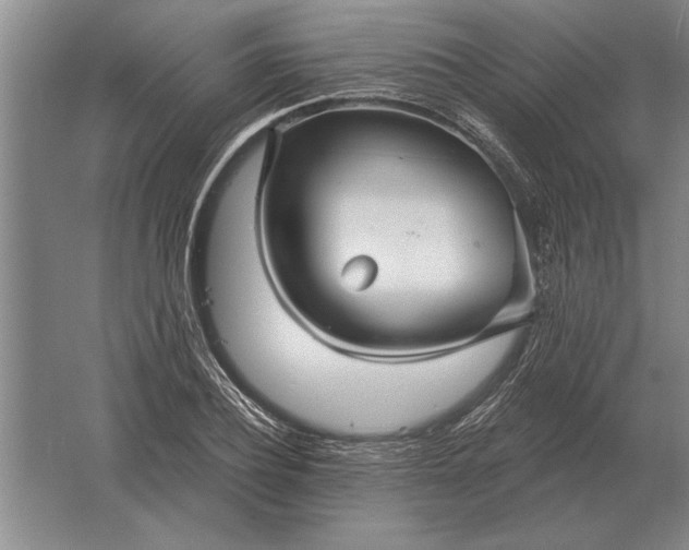 X0000061730932200512161618