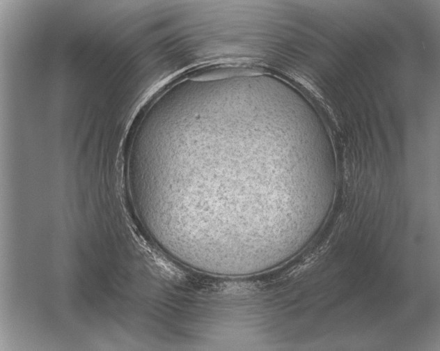 X0000061730933200512161618