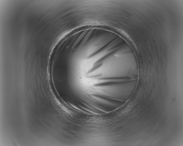 X0000061730935200512161618