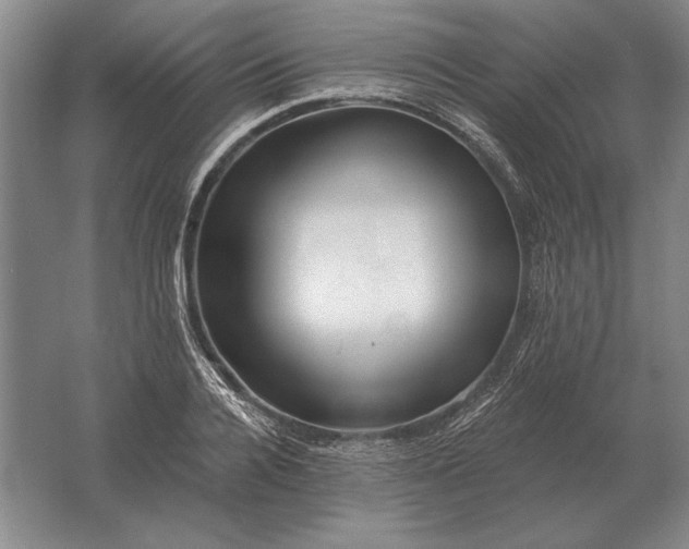 X0000061730936200512161618