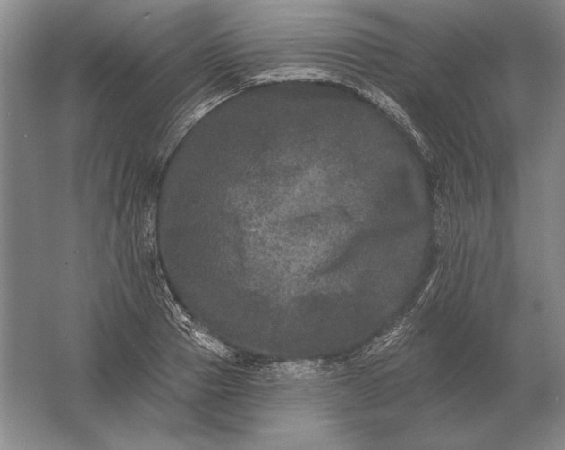 X0000061730937200512161618