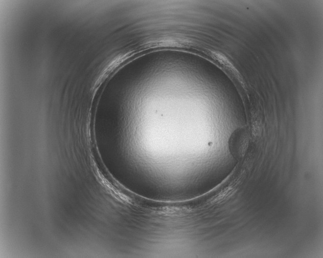 X0000061730938200512161618