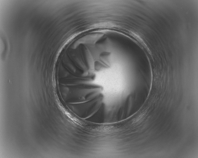 X0000061730939200512161618