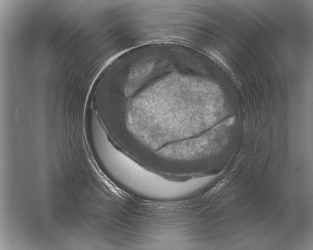 X0000061730940200512161618