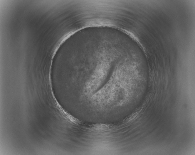 X0000061730943200512161618