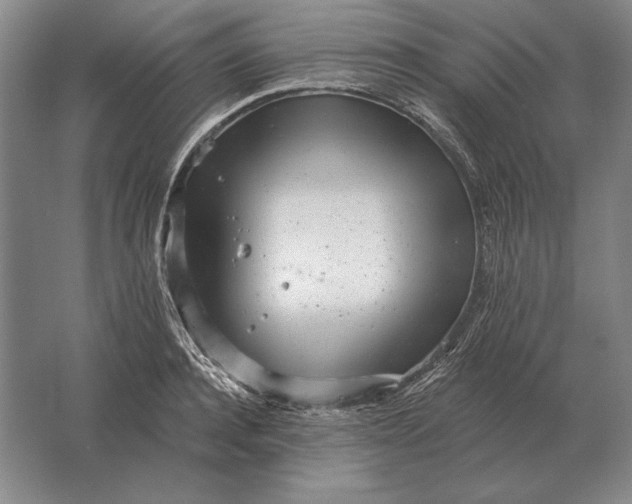 X0000061730944200512161618