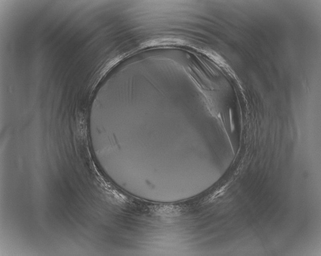 X0000061730945200512161618