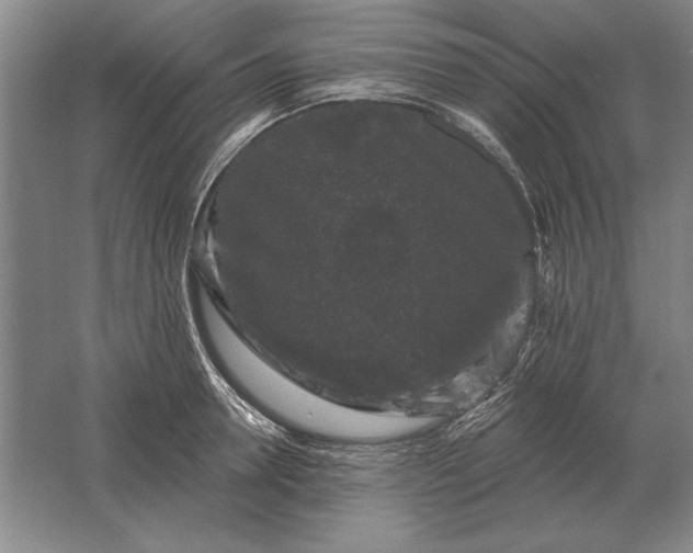 X0000061730946200512161618