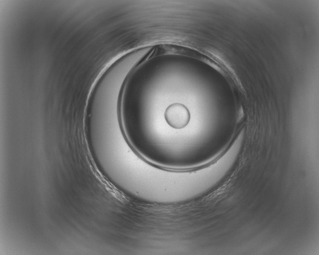 X0000061730948200512161619