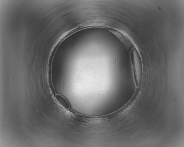 X0000061730949200512161619