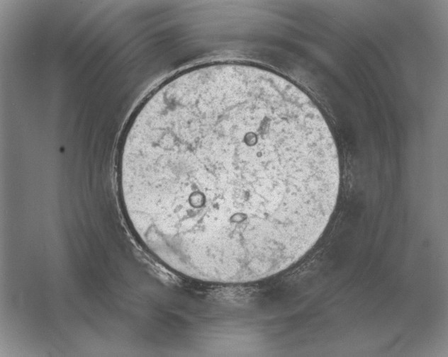 X0000061730950200512161619