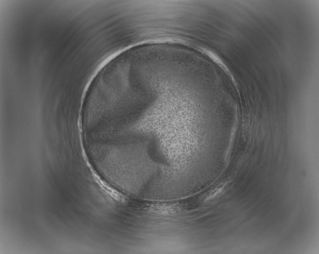 X0000061730951200512161619