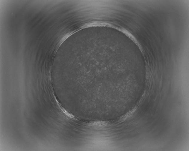 X0000061730953200512161619