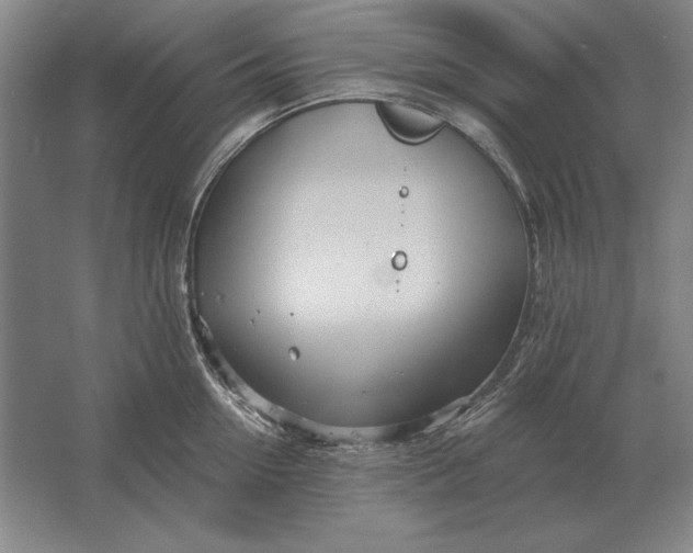 X0000061730954200512161619