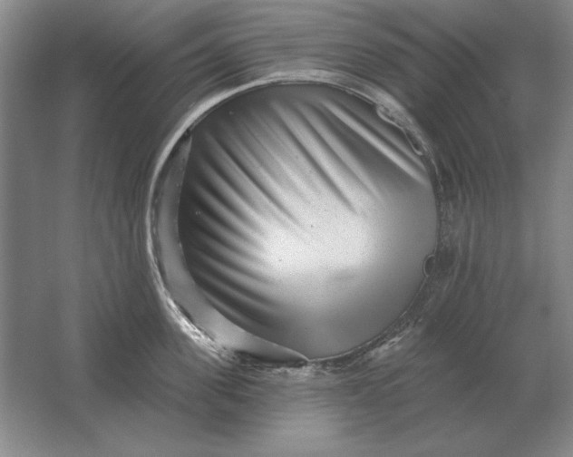 X0000061730955200512161619