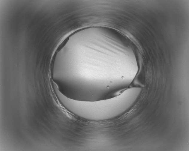 X0000061730956200512161619