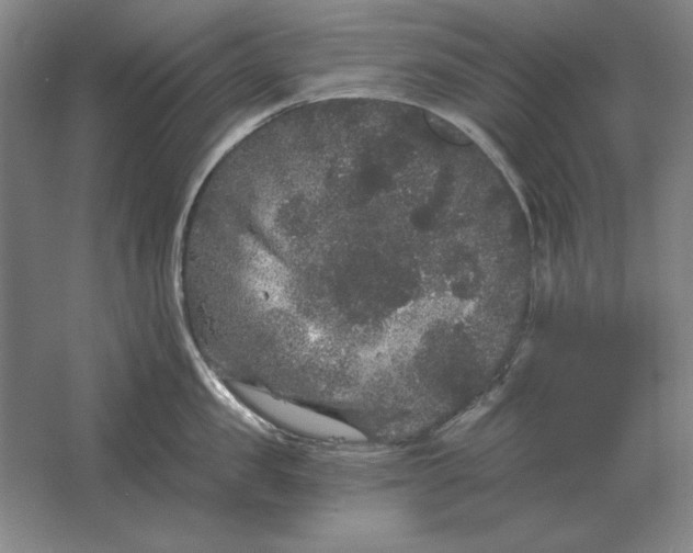 X0000061730957200512161619