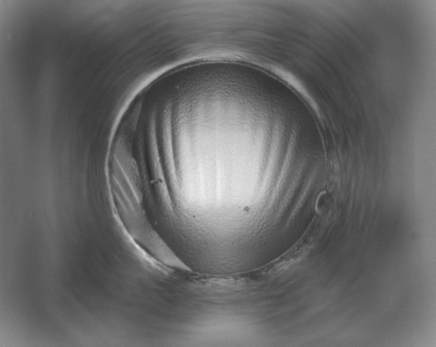 X0000061730959200512161619