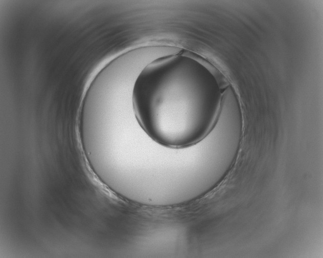 X0000061730960200512161619